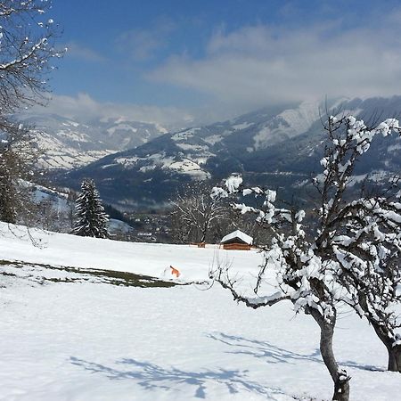 Ferienwohnung Mitterleithengut Zell am See Kültér fotó