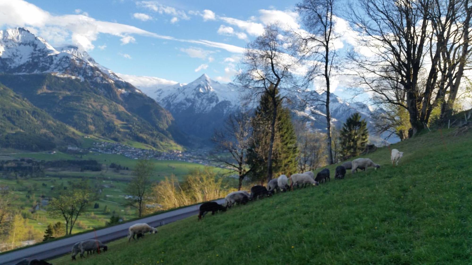 Ferienwohnung Mitterleithengut Zell am See Kültér fotó