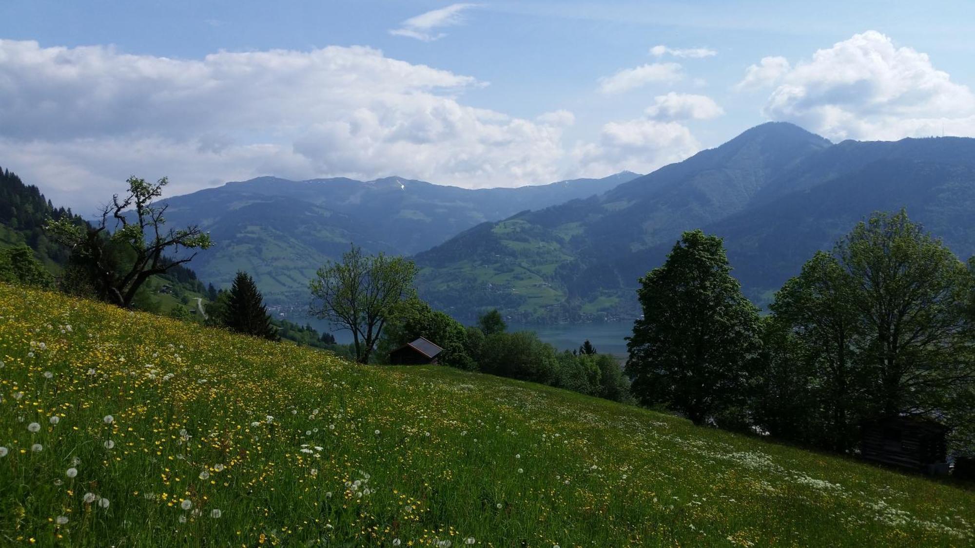 Ferienwohnung Mitterleithengut Zell am See Kültér fotó